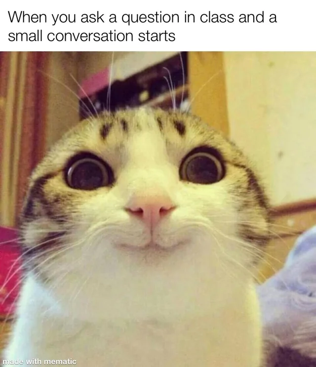 Cat waiting earnestly for questions